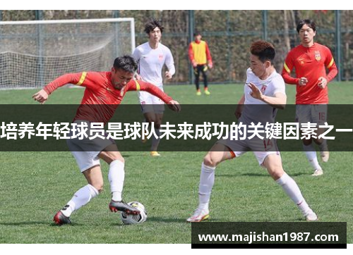 培养年轻球员是球队未来成功的关键因素之一