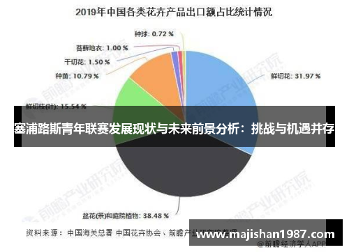 塞浦路斯青年联赛发展现状与未来前景分析:挑战与机遇并存